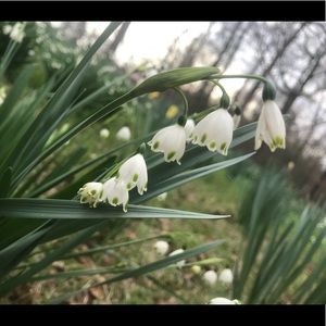 Meet your Posher, Kylie